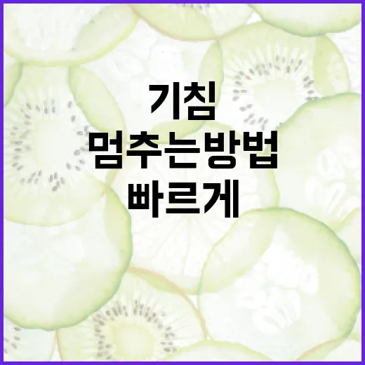 기침을 빠르게 멈추는 방법: 전문가가 추천하는 팁 - 요약