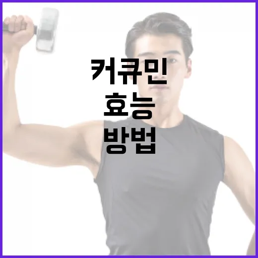 커큐민 효능을 극대화하는 방법 - 요약