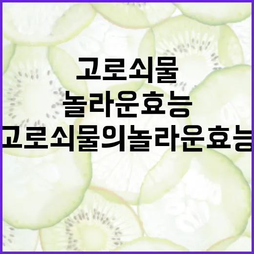 고로쇠물의 놀라운 효능과 활용 방법 - 요약