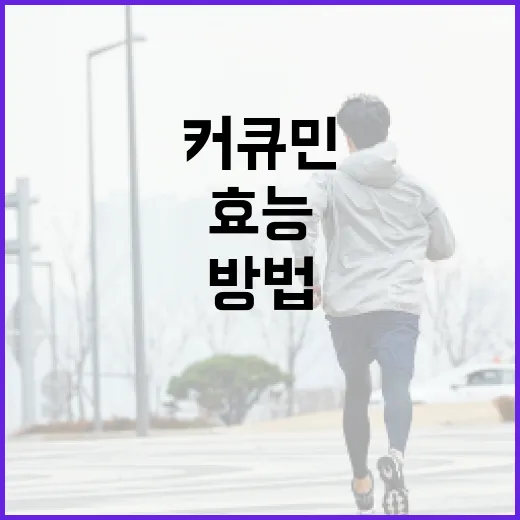 커큐민 효능을 최대로 활용하는 방법 - 요약