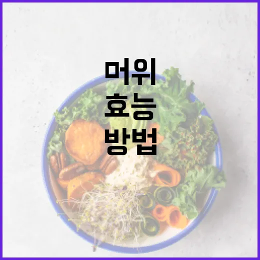 머위의 효능을 극대화하는 방법 - 요약