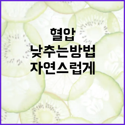 자연스럽게 혈압을 낮추는 방법 - 요약