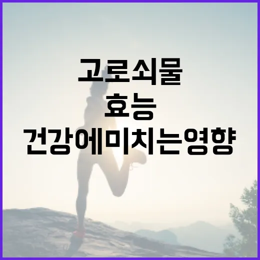 고로쇠물의 놀라운 효능과 건강에 미치는 영향 - 요약