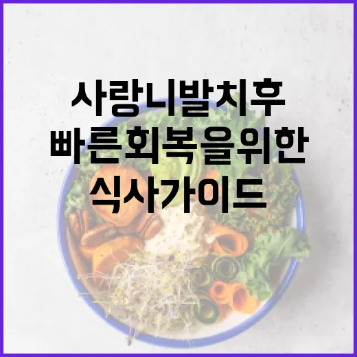사랑니 발치 후 식사 가이드: 안전하고 빠른 회복을 위한 팁 - 요약