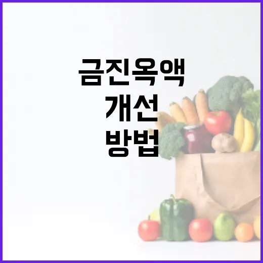 금진옥액으로 건강을 개선하는 방법 - 요약