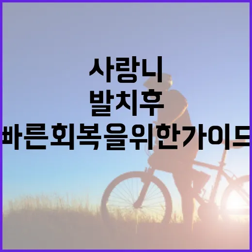 사랑니 발치 후 식사하는 방법: 빠른 회복을 위한 가이드 - 요약