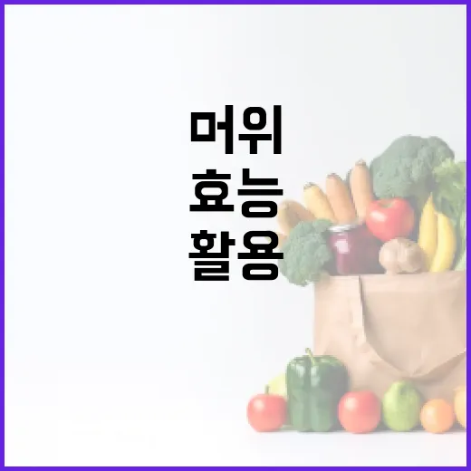 머위의 효능을 최대한 활용하는 방법 - 요약