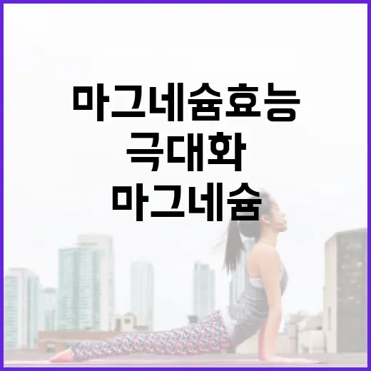 마그네슘 효능을 극대화하는 방법 - 요약