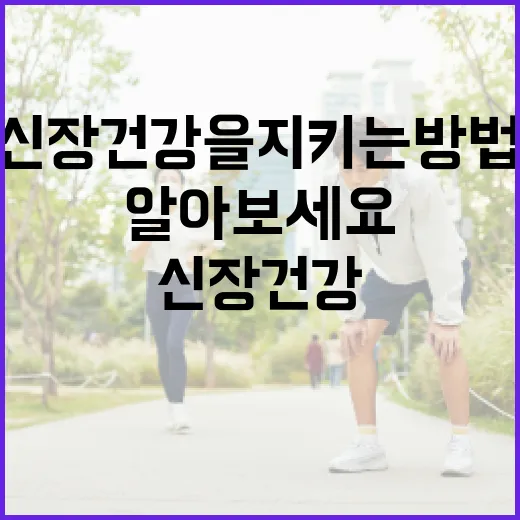 신장 건강을 지키는 방법: 신장에 좋은 음식을 알아보세요 - 요약