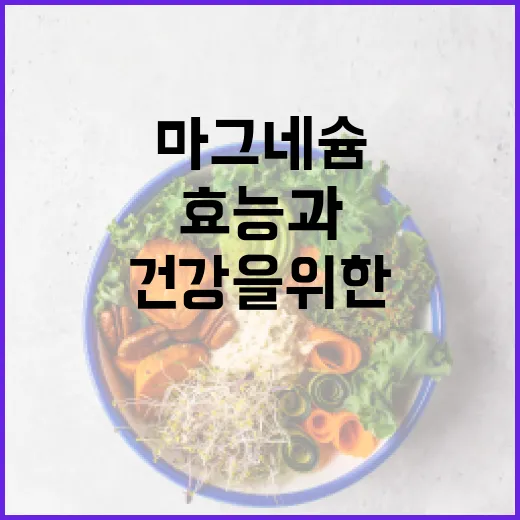 마그네슘 효능과 섭취 방법: 건강을 위한 필수 가이드 - 요약