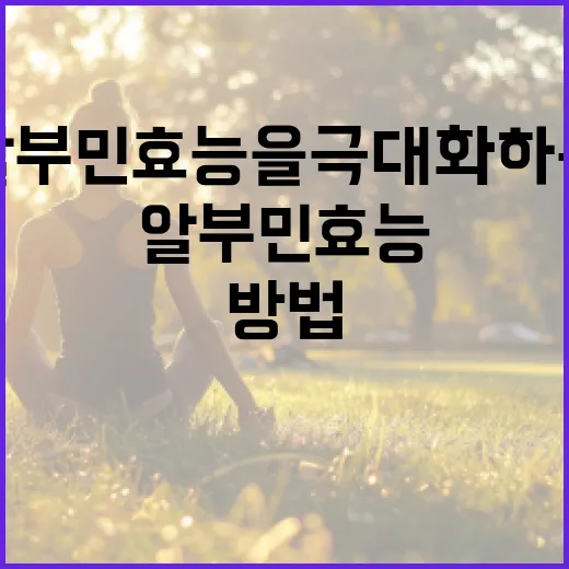알부민 효능을 극대화하는 방법 - 요약
