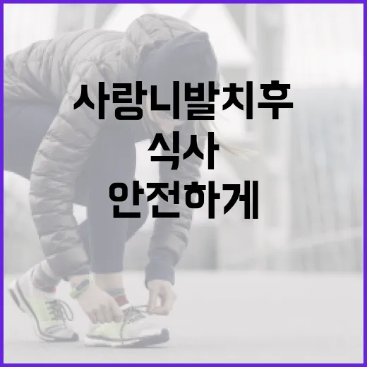 사랑니 발치 후 안전하게 식사하는 방법 - 요약