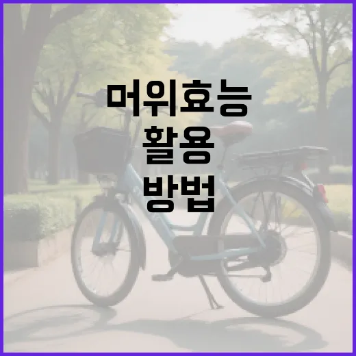 머위 효능을 최대한 활용하는 방법 - 요약