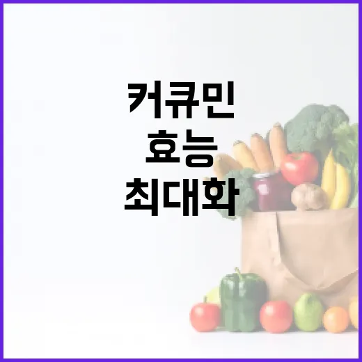 커큐민 효능을 최대화하는 방법 - 요약