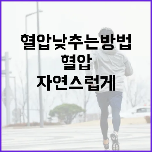 자연스럽게 혈압 낮추는 방법 - 요약