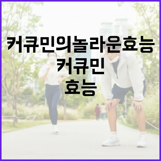 커큐민의 놀라운 효능을 극대화하는 방법 - 요약