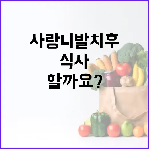사랑니 발치 후 어떻게 식사해야 할까요? - 요약