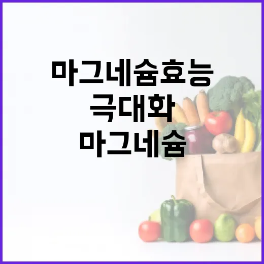 마그네슘 효능을 극대화하는 방법 - 요약