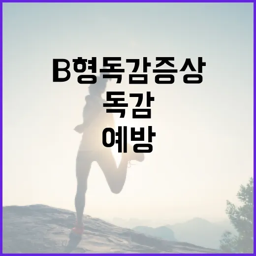 B형 독감 증상을 이해하고 예방하는 방법 - 요약