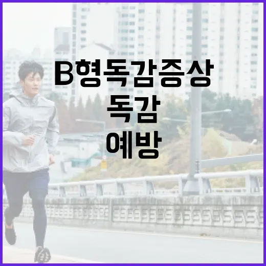 B형 독감 증상을 이해하고 예방하는 방법 - 요약