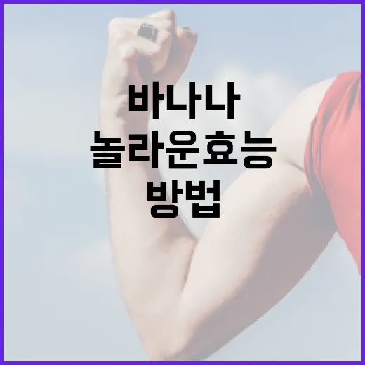 바나나의 놀라운 효능을 최대한 활용하는 방법 - 요약
