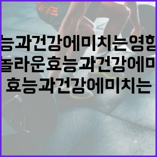 토마토의 놀라운 효능과 건강에 미치는 영향 알아보기 - 요약