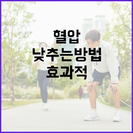 효과적으로 혈압을 낮추는 방법 - 요약