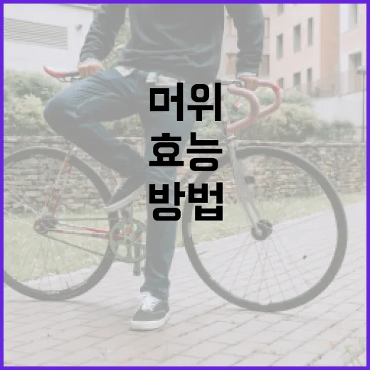 머위의 효능을 극대화하는 방법 - 요약