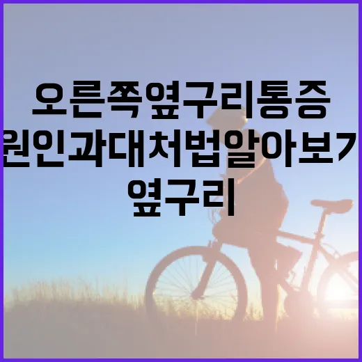 오른쪽 옆구리 통증 해결 방법: 원인과 대처법 알아보기 - 요약