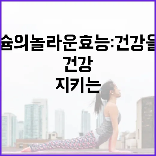 마그네슘의 놀라운 효능: 건강을 지키는 방법 - 요약