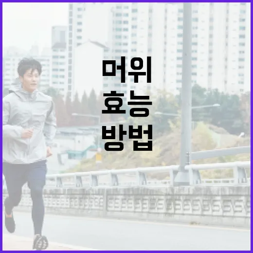 머위의 효능을 극대화하는 방법 - 요약