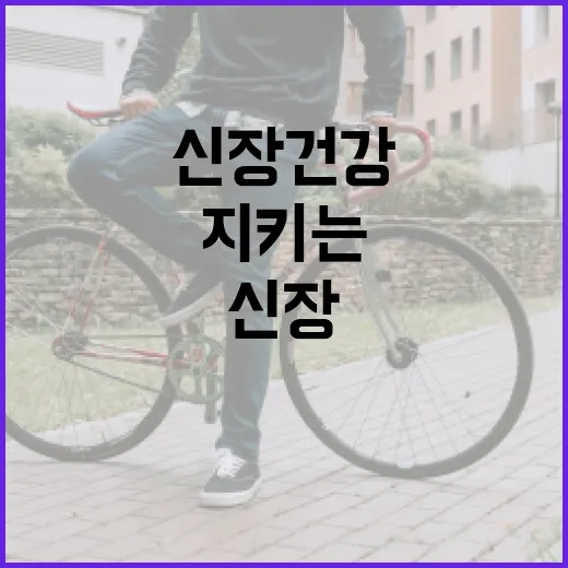 신장 건강을 지키는 음식 선택 방법 - 요약