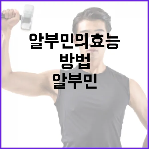 알부민의 효능을 극대화하는 방법 - 요약