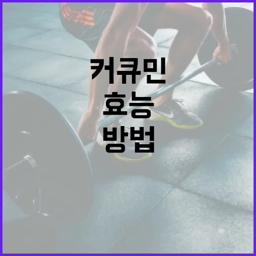 커큐민의 효능을 극대화하는 방법 - 요약