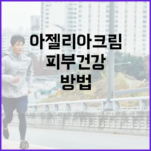 아젤리아크림을 사용하는 방법: 피부 건강을 위한 팁 - 요약