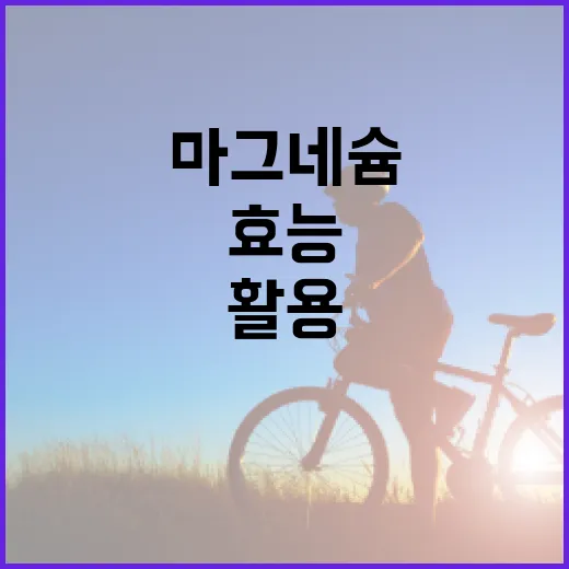 마그네슘 효능을 최대한 활용하는 방법 - 요약
