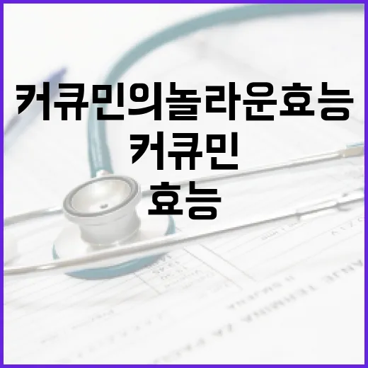 커큐민의 놀라운 효능을 극대화하는 방법 - 요약