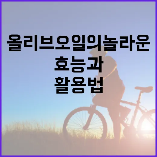 올리브오일의 놀라운 효능과 활용법 - 요약