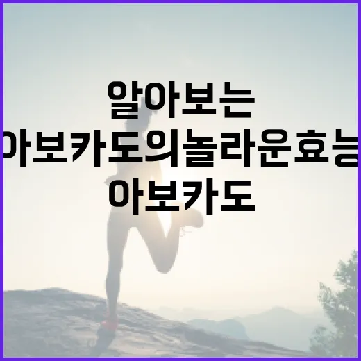 아보카도의 놀라운 효능을 알아보는 방법 - 요약