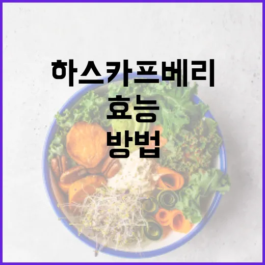 하스카프베리의 효능을 최대한 활용하는 방법 - 요약
