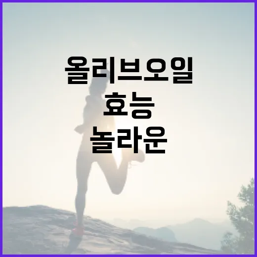 올리브오일의 놀라운 효능을 파헤치는 방법 - 요약