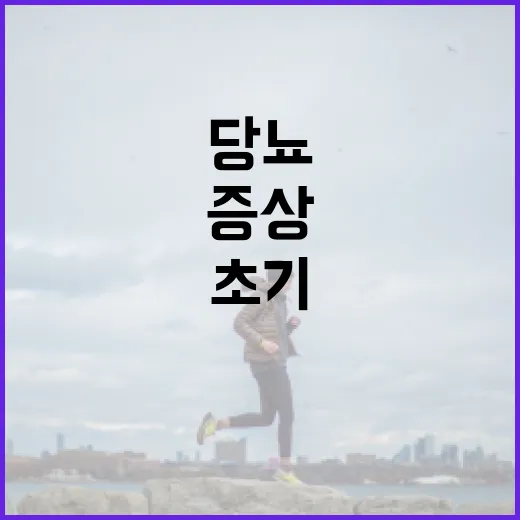 당뇨 초기증상을 인식하는 방법 - 요약