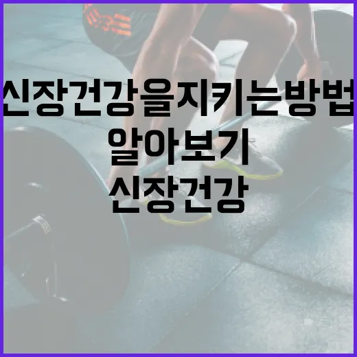 신장 건강을 지키는 방법: 신장에 좋은 음식 알아보기 - 요약