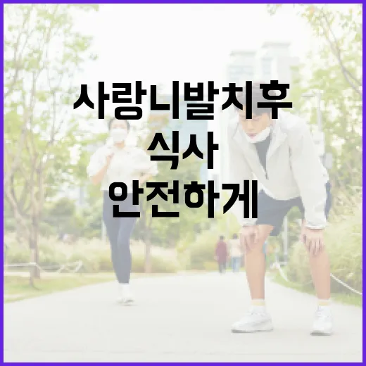 사랑니 발치 후 안…