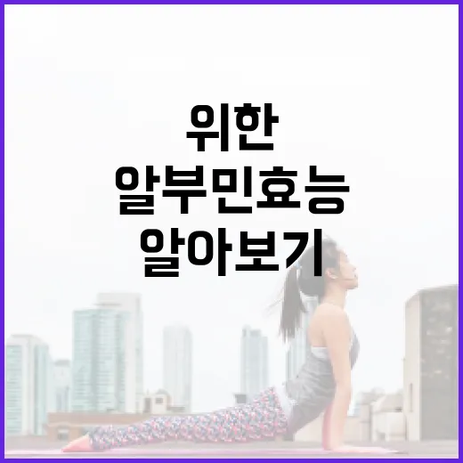 알부민 효능 알아보기: 건강을 위한 필수 정보 - 요약