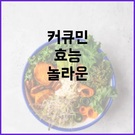 커큐민의 놀라운 효능을 알아보는 방법 - 요약