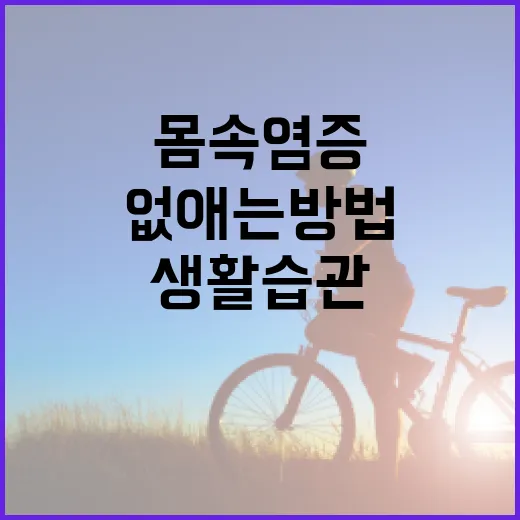몸속 염증을 없애는 방법: 건강한 생활 습관으로 염증 관리하기 - 요약