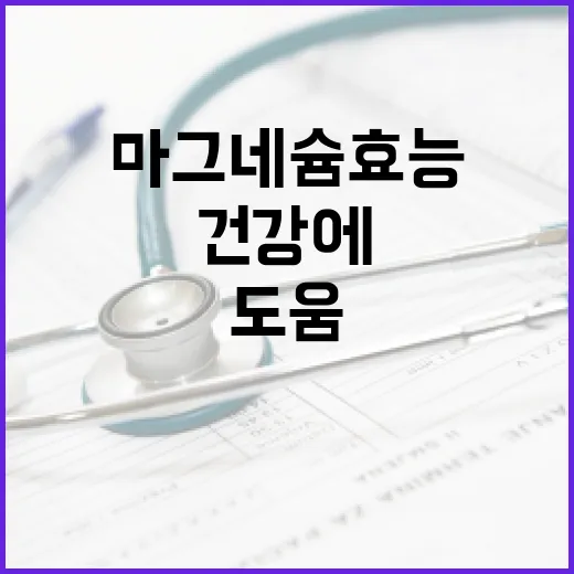 마그네슘 효능 알아보기: 건강에 어떻게 도움이 될까요? - 요약