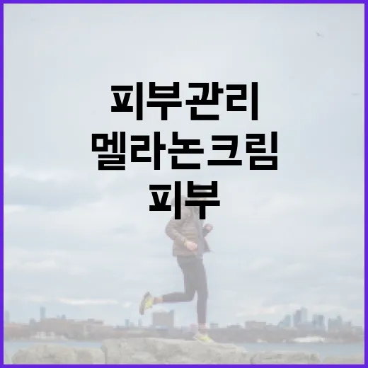 멜라논크림 사용 방법: 효과적인 피부 관리 비결 - 요약