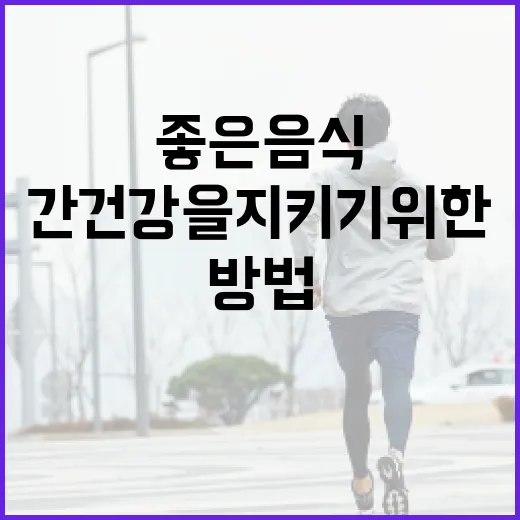 간 건강을 지키기 위한 간에 좋은 음식 섭취 방법 - 요약